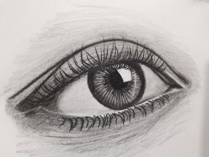 Realistic pencil drawing of a detailed eye, showcasing ideas for drawing inspiration.