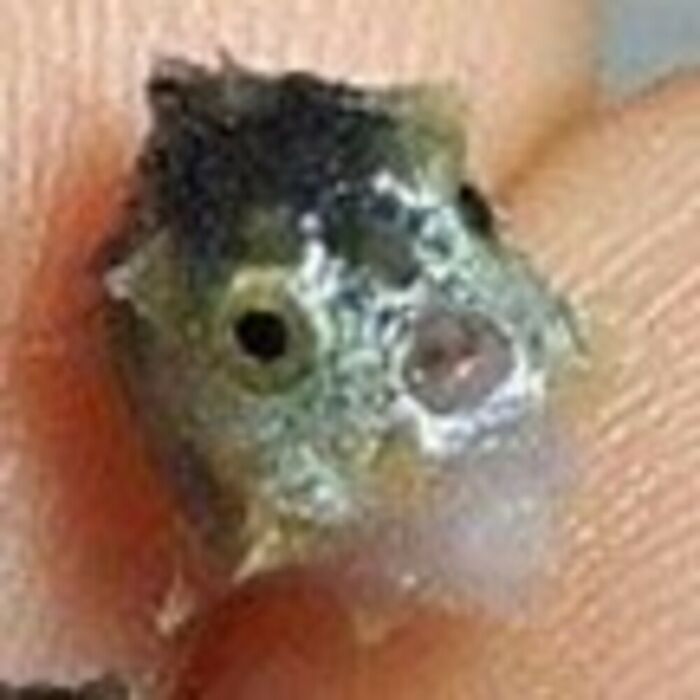 Csalmsaclkvsndnjjnjknjkvsheargiubhvfhfdhcsalmsaclkvsndnjjnjknjkvsheargiubhvfhfdhcsalmsaclkvsndnjjnjknjkvsheargiubhvfhfdhcsalmsaclkvsndnjjnjknjkvsheargiubhvfhfdhcsalmsaclkvsndnjjnjknjkvsheargiubhvfhfdhcsalmsaclkvsndnjjnjknjkvsheargiubhvfhfdhcsalmsaclkvsndnjjnjknjkvsheargiubhvfhfdhcsalmsaclkvsndnjjnjknjkvsheargiubhvfhfdhcsalmsaclkvsndnjjnjknjkvsheargiubhvfhfdhcsalmsaclkvsndnjjnjknjkvsheargiubhvfhfdhcsalmsaclkvsndnjjnjknjkvsheargiubhvfhfdhcsalmsaclkvsndnjjnjknjkvsheargiubhvfhfdhcsalmsaclkvsndnjjnjknjkvsheargiubhvfhfdhcsalmsaclkvsndnjjnjknjkvsheargiubhvfhfdhcsalmsaclkvsndnjjnjknjkvsheargiubhvfhfdhcsalmsaclkvsndnjjnjknjkvsheargiubhvfhfdhcsalmsaclkvsndnjjnjknjkvsheargiubhvfhfdhcsalmsaclkvsndnjjnjknjkvsheargiubhvfhfdhcsalmsaclkvsndnjjnjknjkvsheargiubhvfhfdhcsalmsaclkvsndnjjnjknjkvsheargiubhvfhfdhcsalmsaclkvsndnjjnjknjkvsheargiubhvfhfdhcsalmsaclkvsndnjjnjknjkvsheargiubhvfhfdhcsalmsaclkvsndnjjnjknjkvsheargiubhvfhfdhcsalmsaclkvsndnjjnjknjkvsheargiubhvfhfdhcsalmsaclkvsndnjjnjknjkvsheargiubhvfhfdhcsalmsaclkvsndnjjnjknjkvsheargiubhvfhfdh