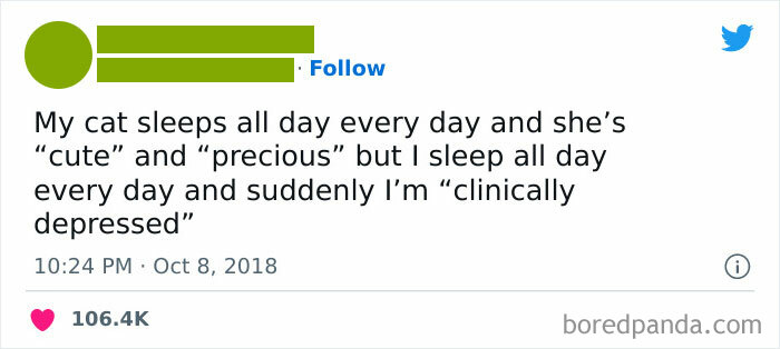 Cats Just Be Livin Their Best Life