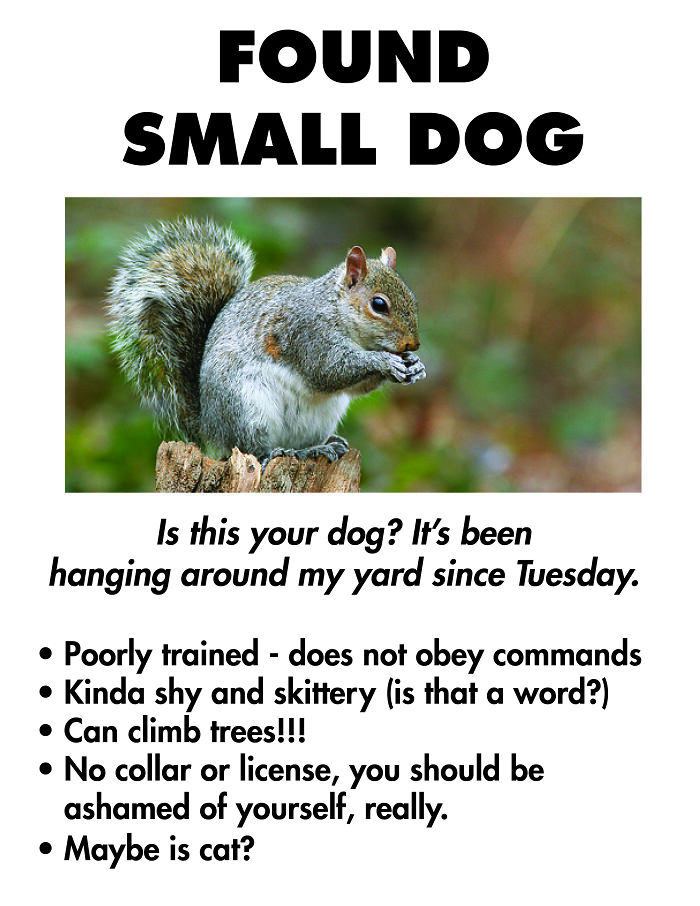 Fake Flyers To Mystify My Neighbors (7 Pics)