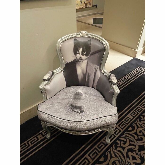 Putting Your Foot In It Purfect Upholstery