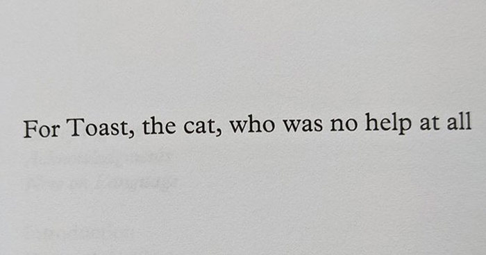 40 Examples Of Writers Leaving Fun And Unique Surprises “Dedicated To Those Who Read The Dedications”