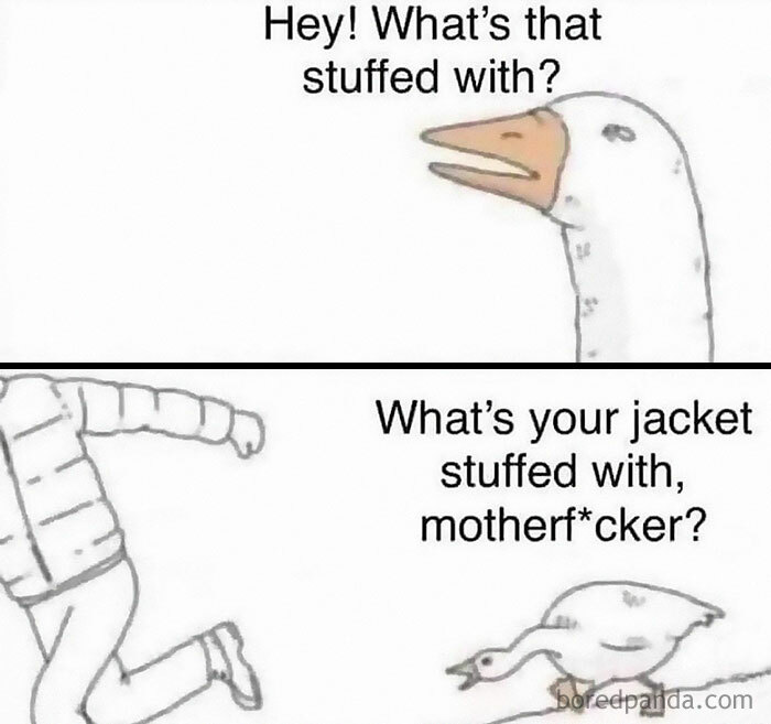 Canadian meme with a goose confronting a person wearing a puffer jacket, highlighting humor about life in Canada.