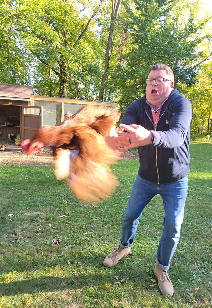 Me dijeron que esto pertenece aquí. Mi marido y Nugget