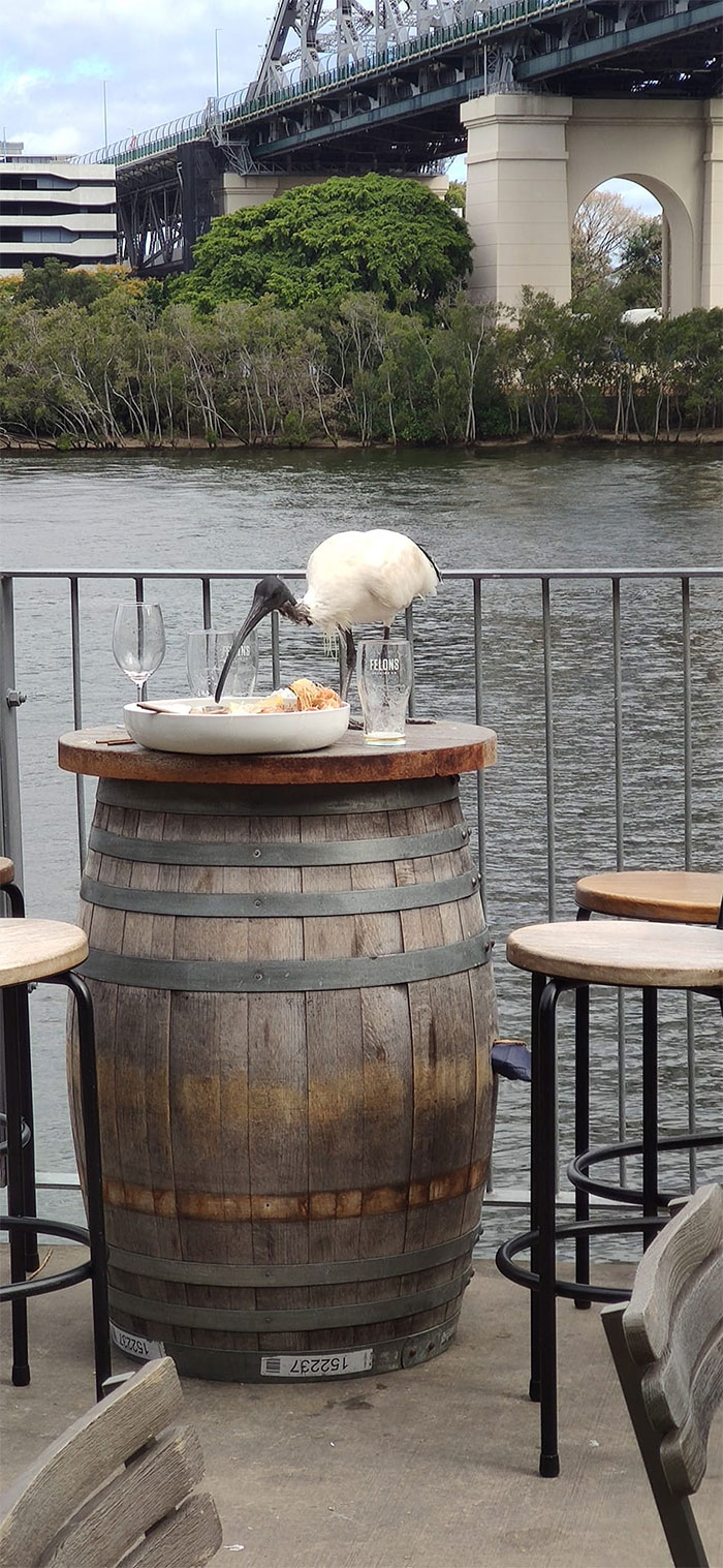 El último hombre en pie