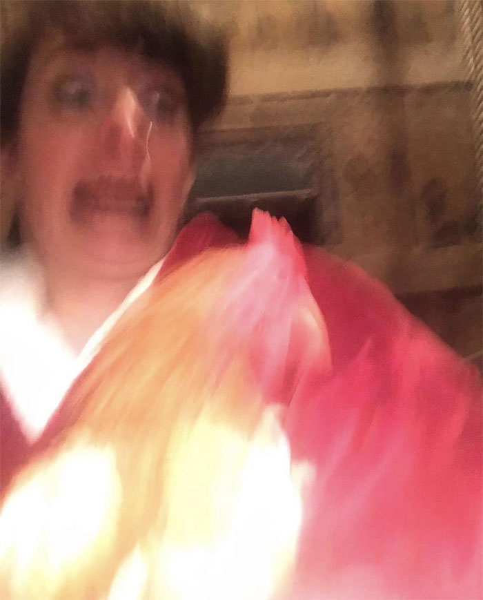 En el pasado, cuando tenía mis propias gallinas y no sabía cómo levantarlas