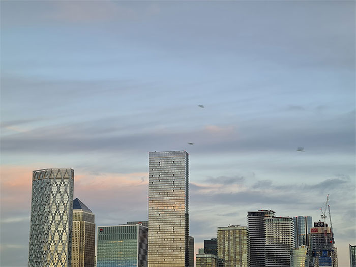 Nunca he conseguido sacar una buena foto de los impresionantes periquitos verdes brillantes de Londres, hasta hoy