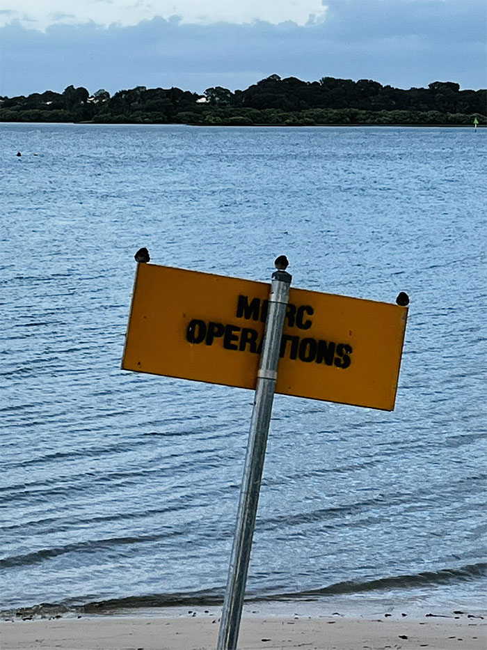 3 Finches Must Weigh A Tonne. The Sign Post Is Leaning Like The Tower Of Pisa