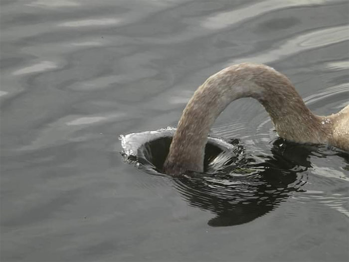 Alguien quitó el tapón