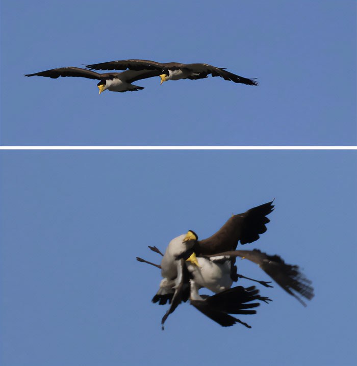 Ahora a la izquierda. La otra izquierda