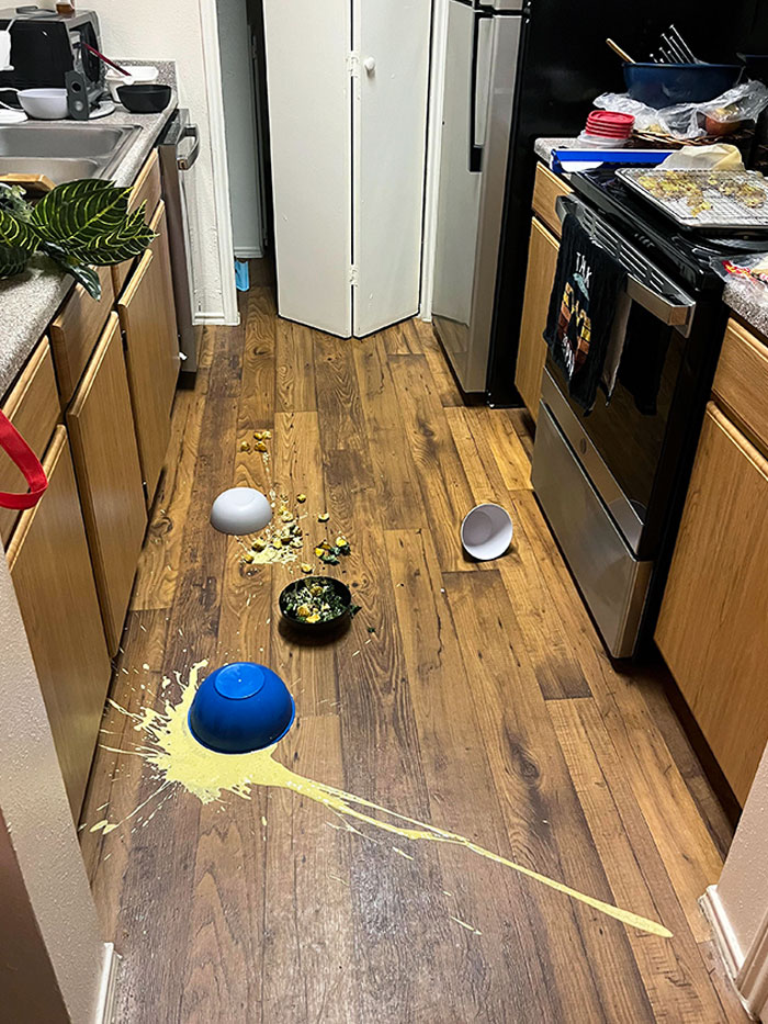 I Got Home Late, Finally Got The Motivation To Make Dinner. While I Was Putting The Dressing Away, My Big Cat Came Bulldozing Through