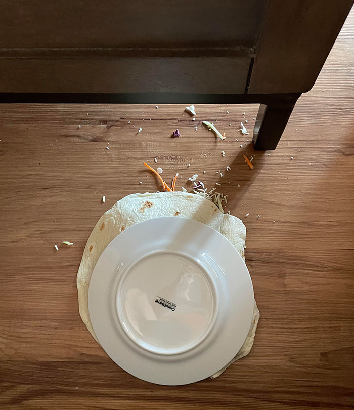 My Dinner. I Ate It Anyway