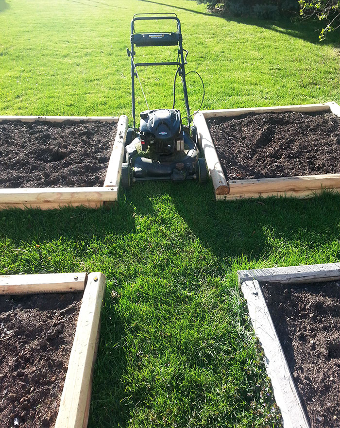 I Forgot To Measure The Lawn Mower Before Putting In The Flower Beds