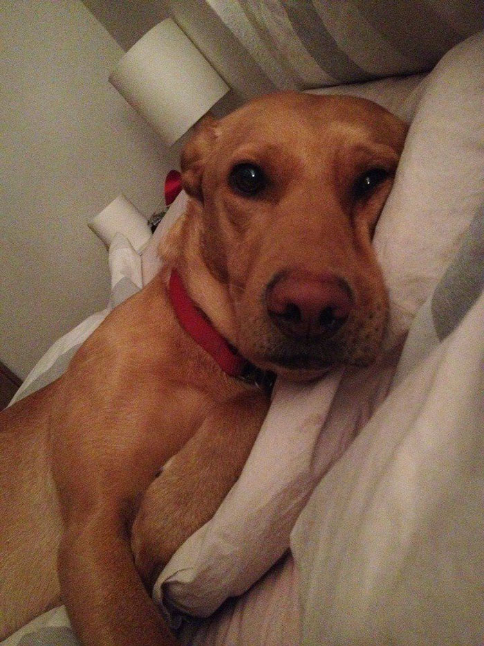 Olvidé que mi mujer estaba fuera, y después de darme la vuelta en la cama, vi esto