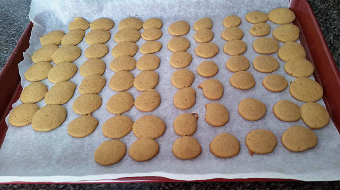 I Somehow Forgot To Put Chocolate Chips In My Chocolate Chip Cookies