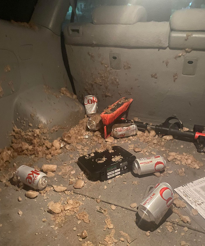 I Forgot I Had Soda In The Back Of My Car In Single Digit Temps