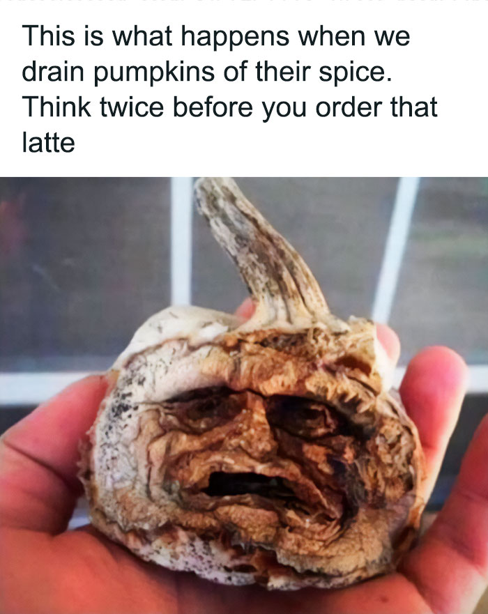 Wrinkled pumpkin resembling a face, highlighting a humorous and spooky Halloween theme.