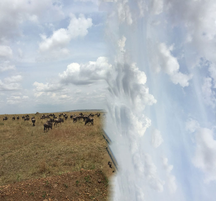 I Never Believed That The Earth Was Flat Until I Saw It With My Own Eyes