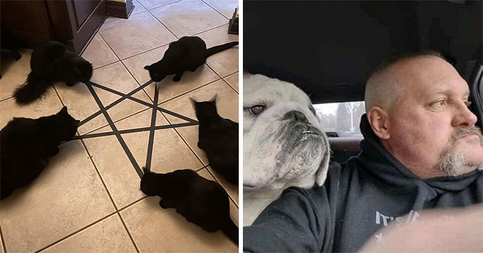 50 Pics Without Context That Get Weirder And Weirder The Longer You Look At Them, As Shared On This Online Group (New Pics)