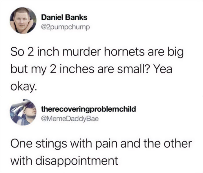 Funny-Rare-Insults-Twitter