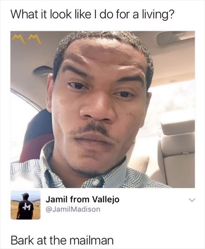 Funny-Rare-Insults-Twitter