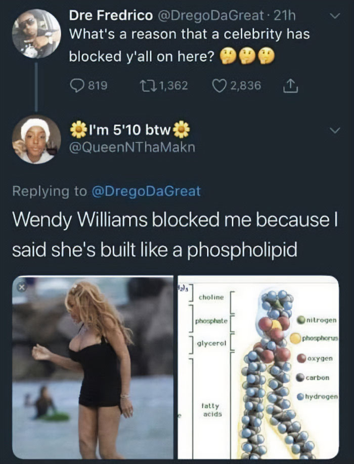 Funny-Rare-Insults-Twitter