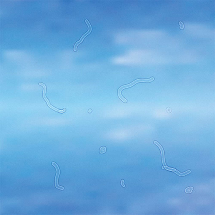 ¿Quién más ve esto cuando se asoma por la ventana?