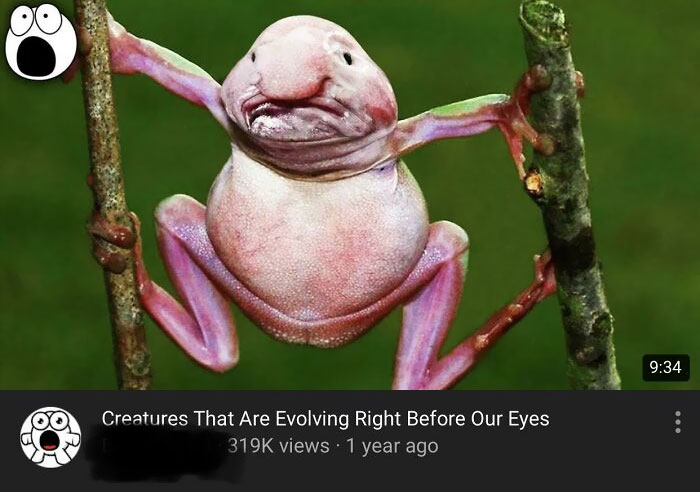 These Clickbait Thumbnails