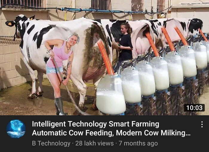 Is This Where Milk Comes From?