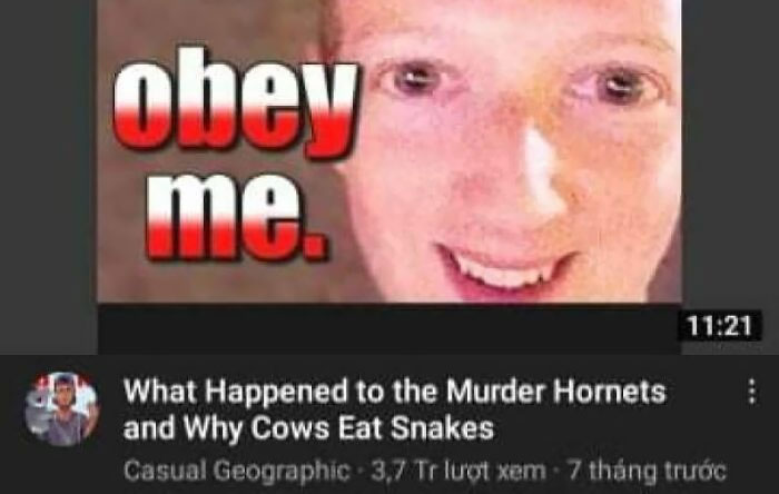 A Glitch Changed This Video's Thumbnail Into Another One. But I Think It's Just YouTube Sending A Message