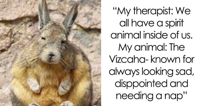 People Are Creating Memes About Nature And All Things Environment, Here Are 35 Of The Best Ones Shared On This Facebook Page