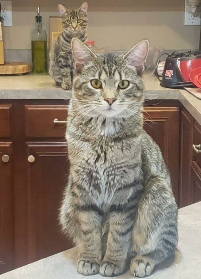 Un error en la Matrix