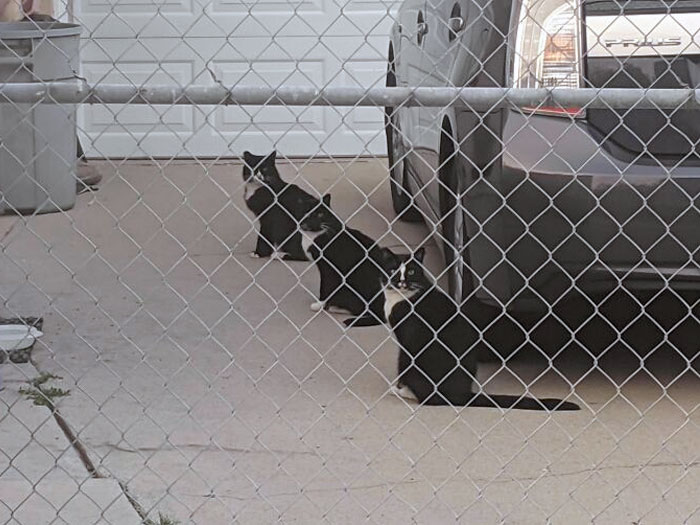 Se produjo un fallo en la Matrix