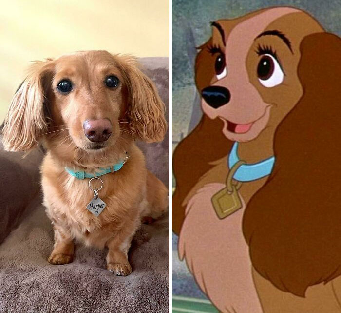 Harper With Her Doppelgänger, Lady