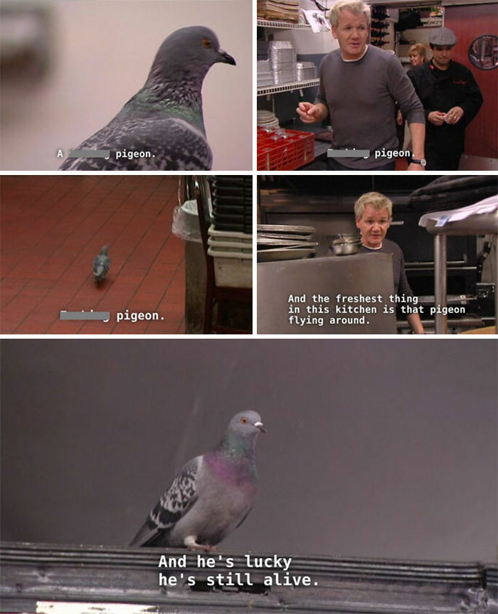 Gordon Ramsay Roasts