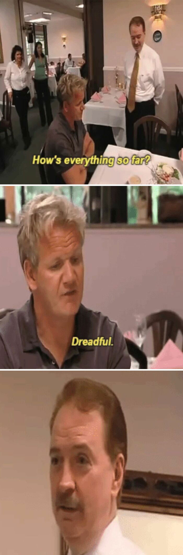 Gordon Ramsay Roasts