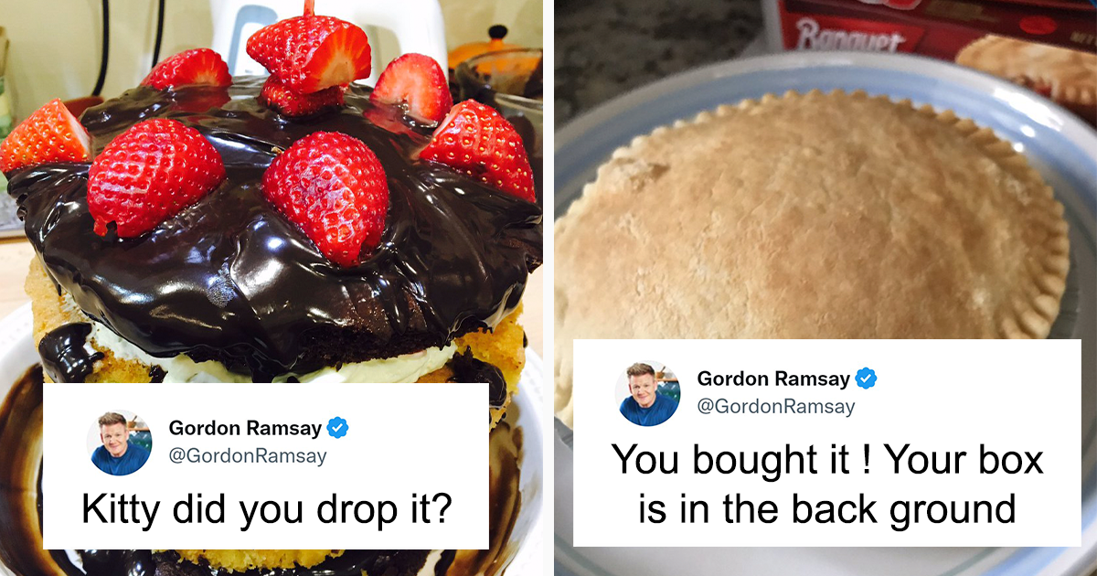 Gordon Ramsay Post People Are Cracking Up At These 35 Roasts By Chef Gordon Ramsay | Bored ...