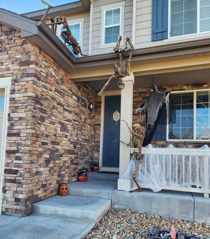 Our Halloween Decorations Are Crawling Along