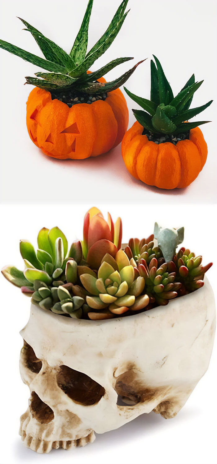 Halloween-Themed Planter