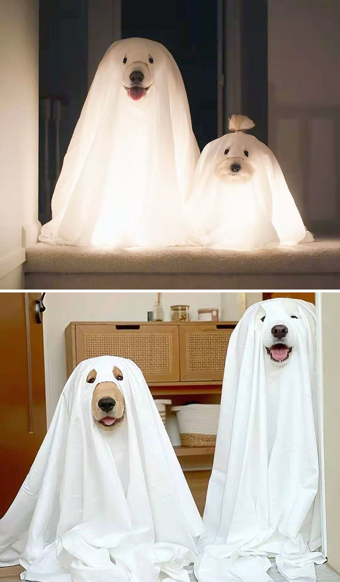 Cute Ghosts
