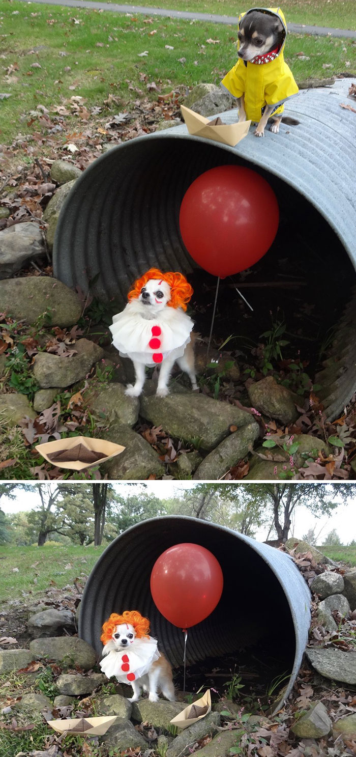 “We All Bork Down Here, Georgie”
