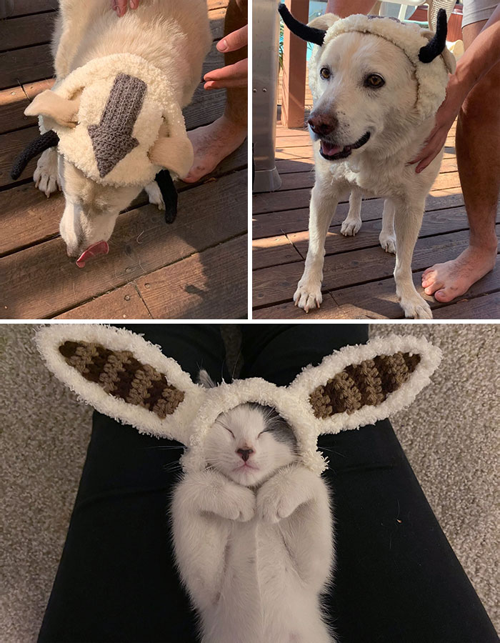 Appa And Momo Pet Costumes