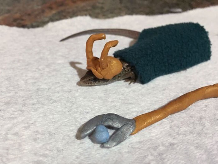 Made A Loki Costume For My Alligator Lizard
