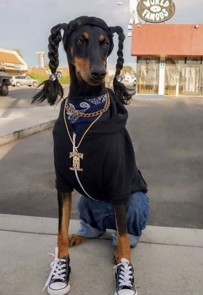 And This Year's Winner Of Halloween