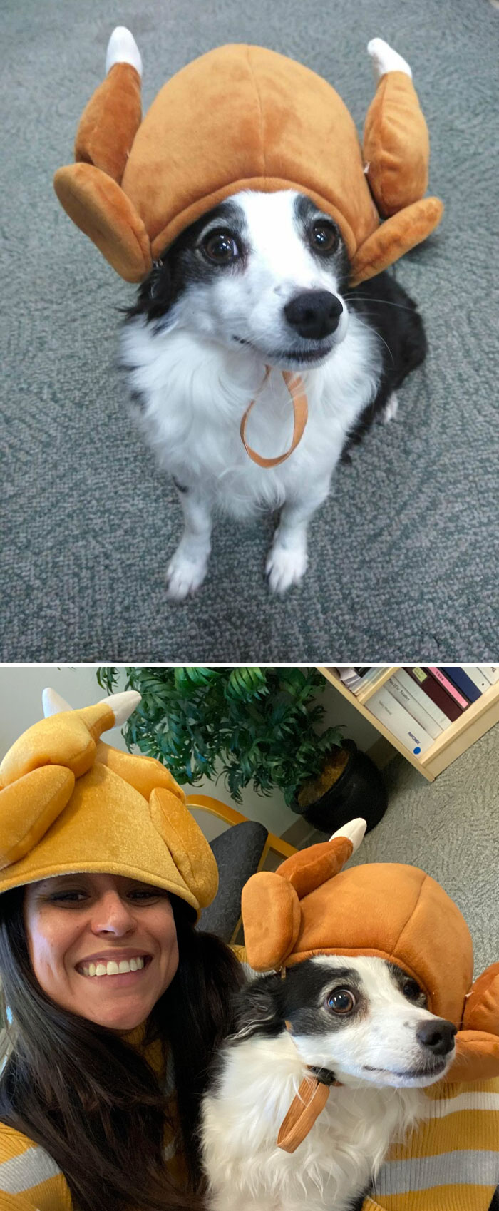 We Were Poultry Today