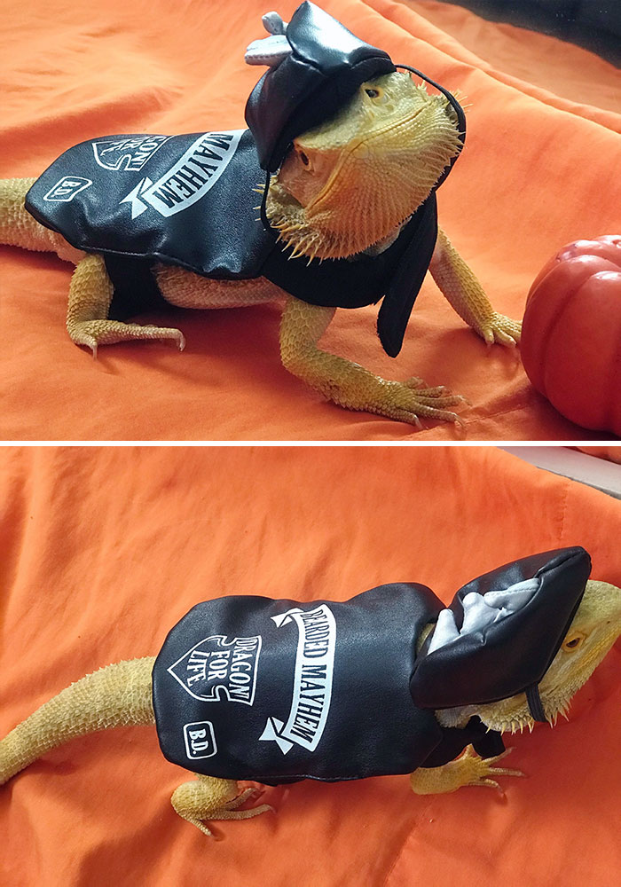 Reptar's Halloween Costume