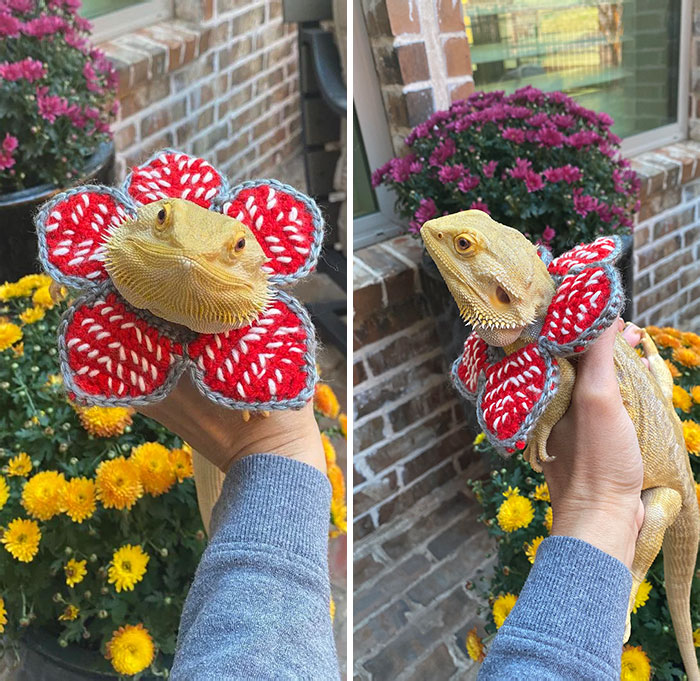 My Daughter Wants To Go As El From Stranger Things For Halloween, So Of Course, We Need To Send Yoshi As Her Demogorgon