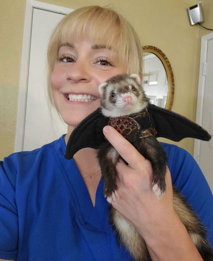 Dragon Costume For Fibs