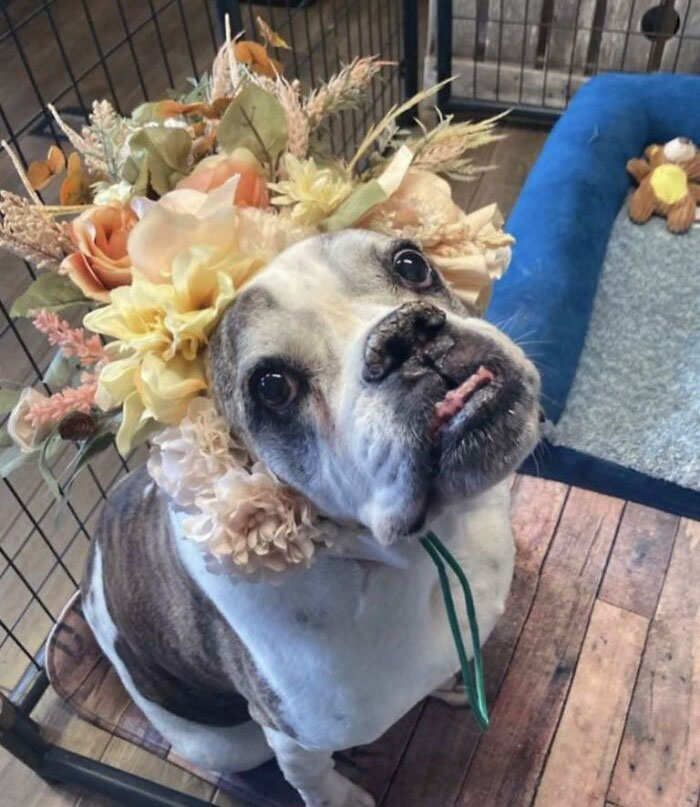 Ready For Halloween Already