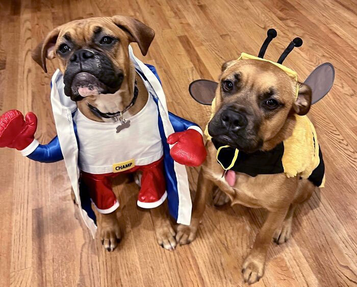 Who's Ready For Halloween?